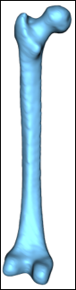 Mesh after Laplacian smoothing
